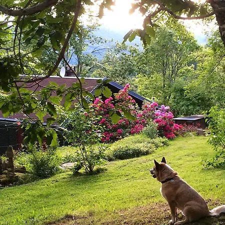 Domaine Laveneau Chalet Chalet La Chabanne